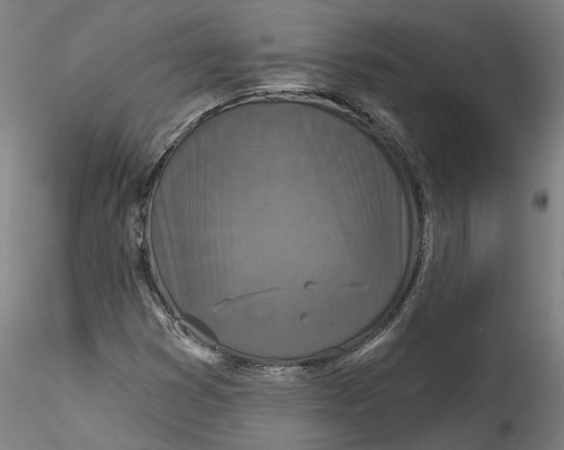 X0000115551353200911271424