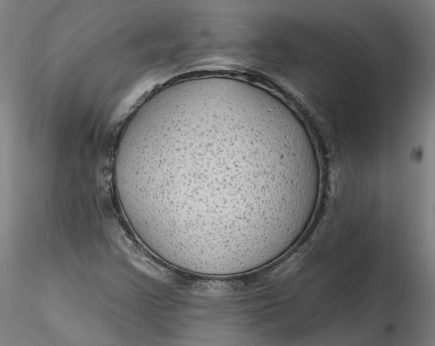 X0000115551355200911271424