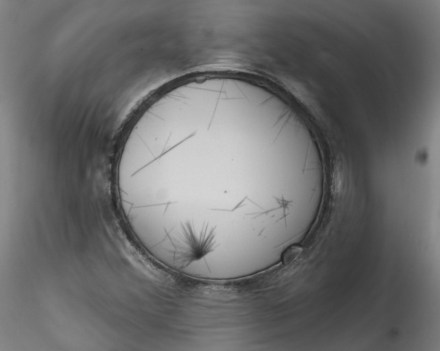 X0000115551356200911271424