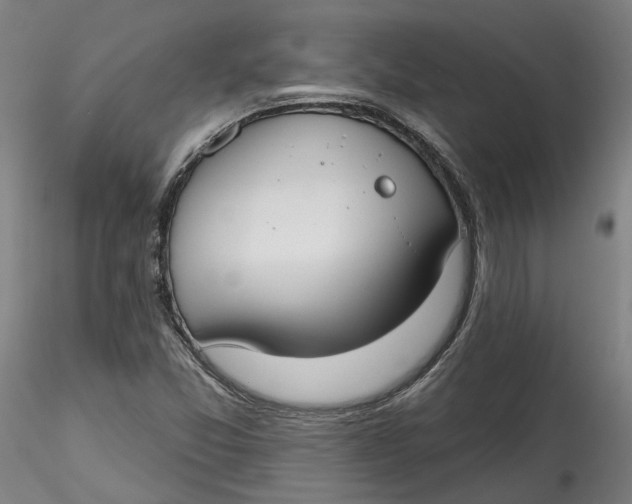 X0000115551357200911271424