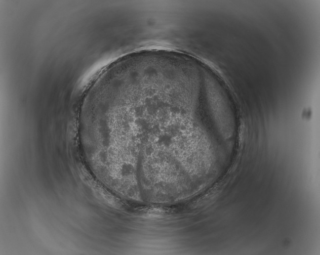 X0000115551359200911271424