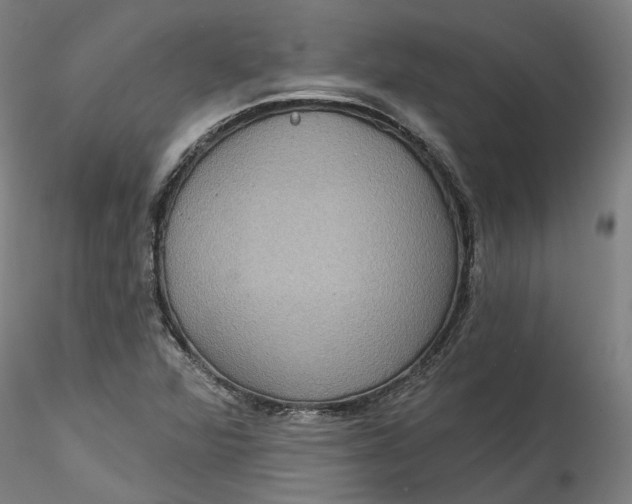 X0000115551360200911271424