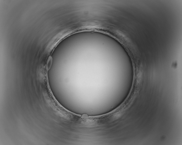 X0000115551361200911271424