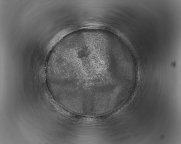 X0000115551362200911271424