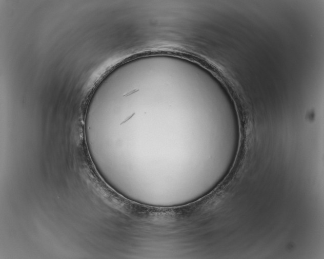 X0000115551363200911271424