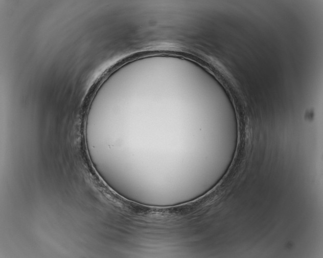 X0000115551364200911271424