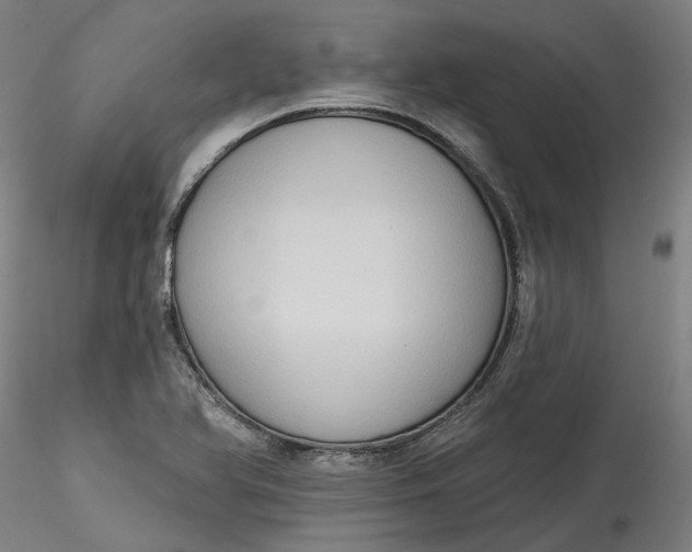 X0000115551366200911271424