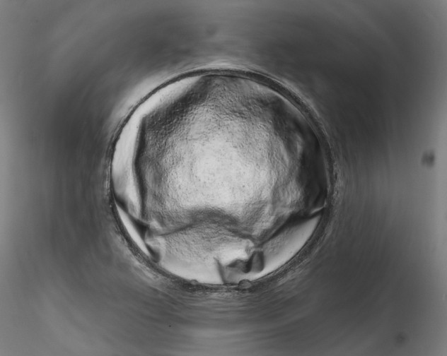 X0000115551367200911271423