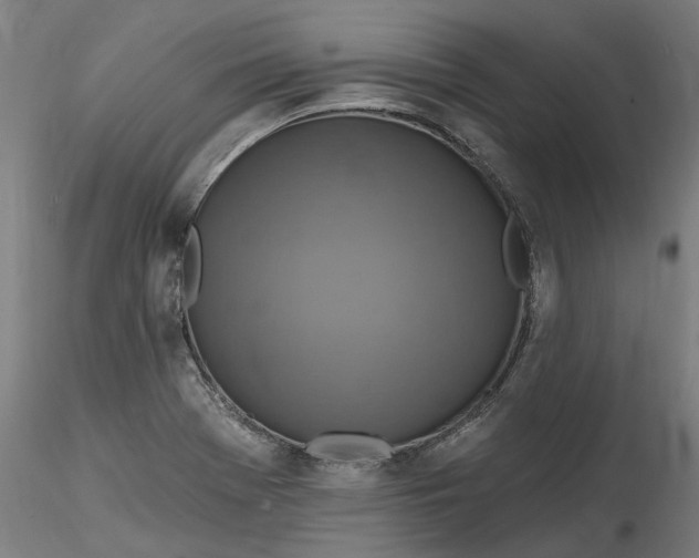 X0000115551369200911271423