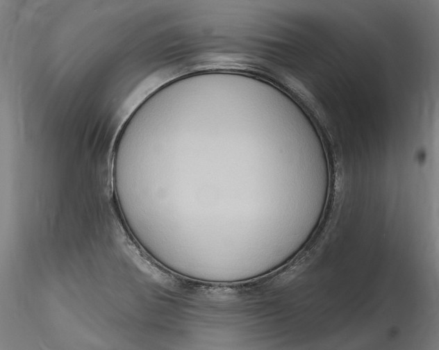 X0000115551370200911271423