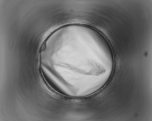 X0000115551371200911271423