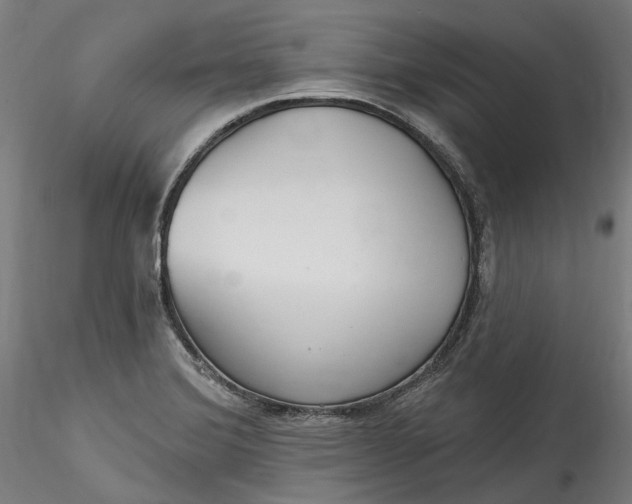 X0000115551372200911271423