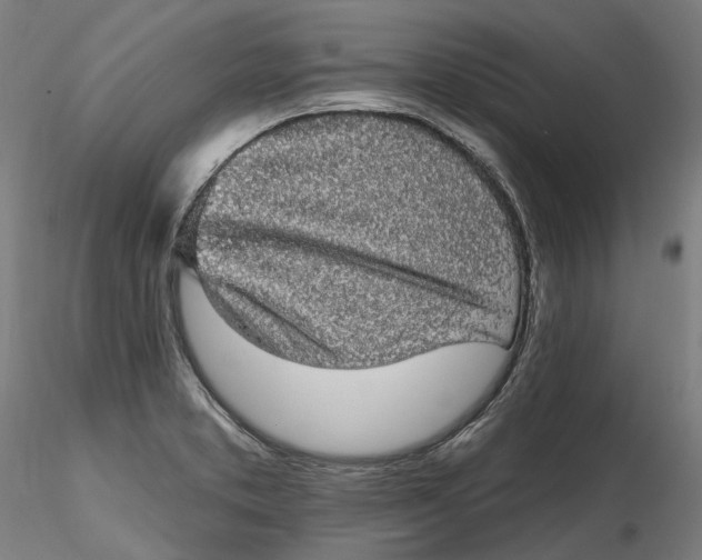 X0000115551373200911271423