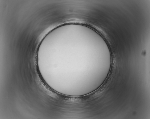 X0000115551375200911271423