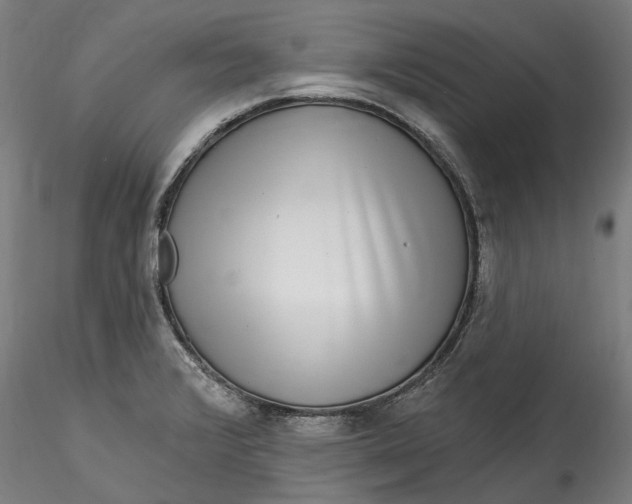 X0000115551376200911271423