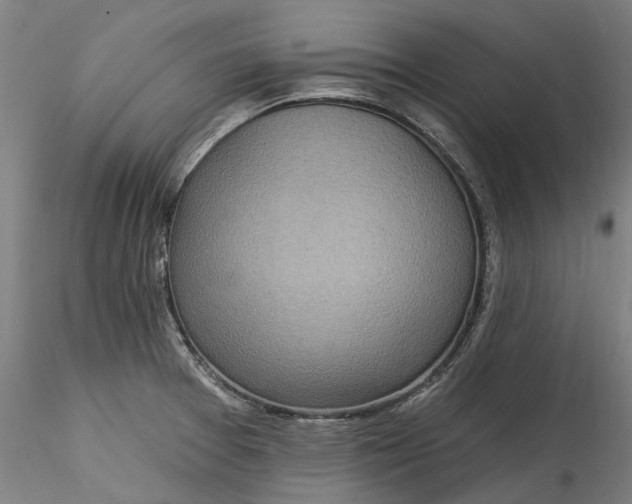 X0000115551377200911271423