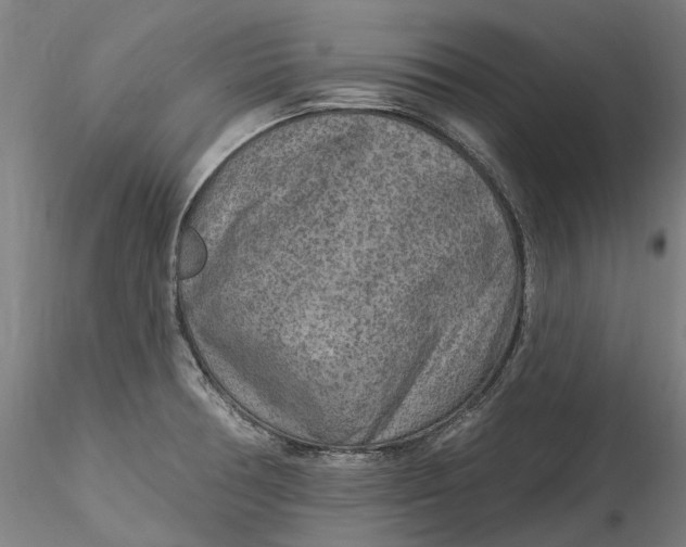 X0000115551378200911271423