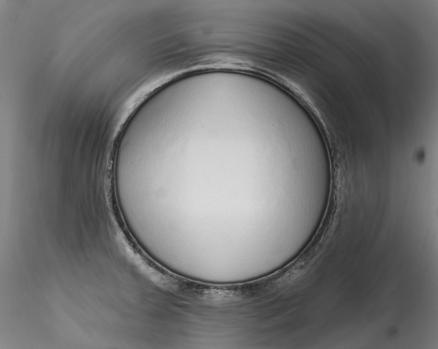 X0000115551379200911271423