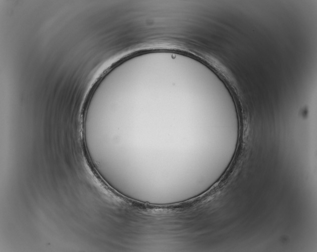 X0000115551380200911271423