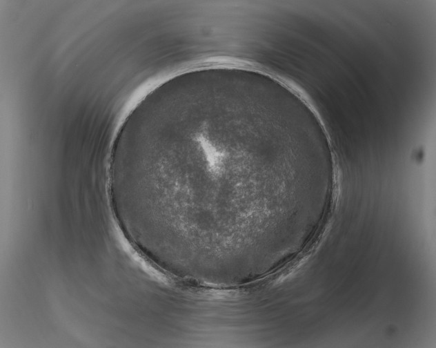 X0000115551381200911271423