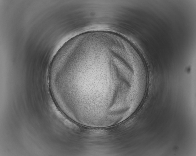 X0000115551382200911271423