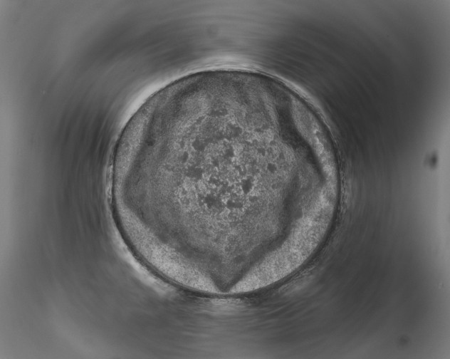 X0000115551383200911271423