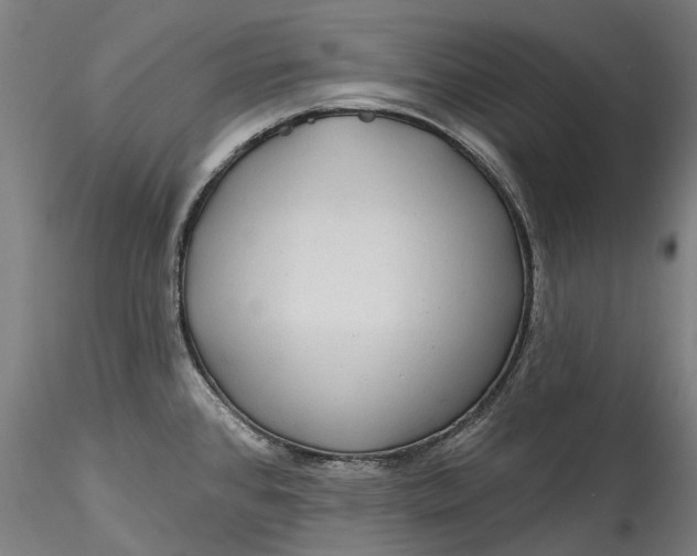 X0000115551384200911271423