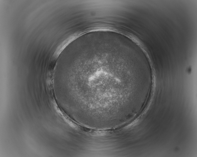 X0000115551385200911271423