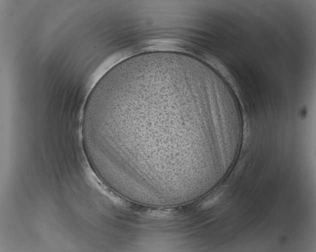 X0000115551386200911271423