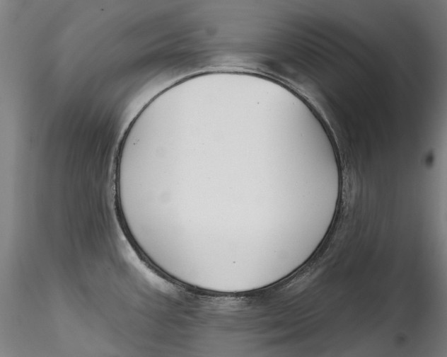 X0000115551387200911271423