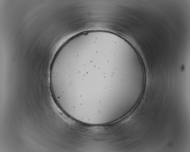 X0000115551388200911271423