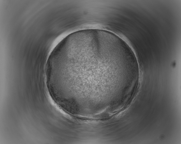 X0000115551389200911271423