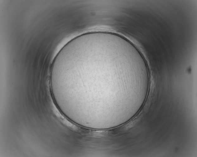 X0000115551390200911271423