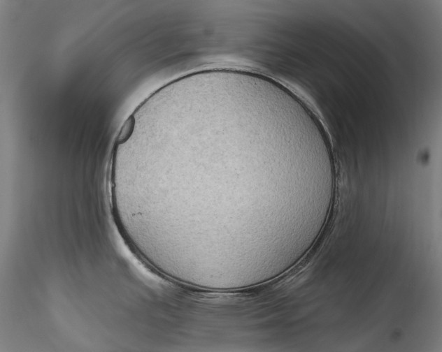 X0000115551391200911271423