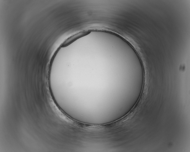 X0000115551392200911271423