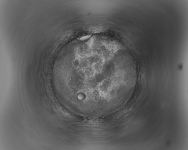 X0000115551393200911271422