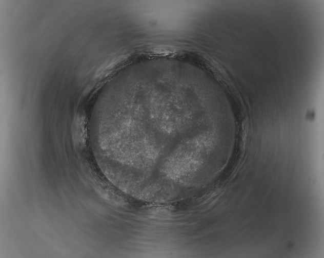 X0000115551394200911271422