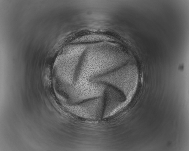 X0000115551396200911271423