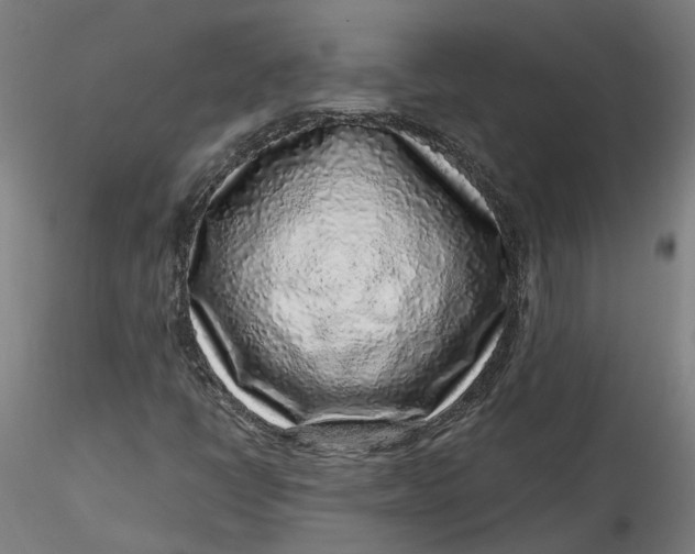 X0000115551398200911271423