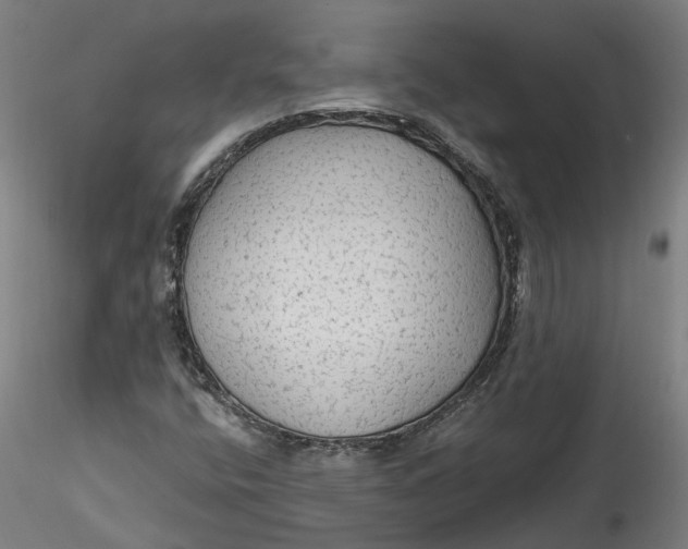 X0000115551400200911271423