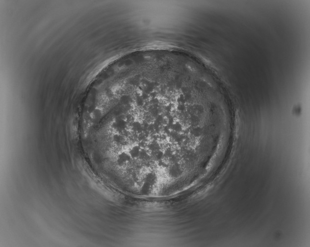 X0000115551401200911271423