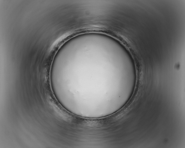 X0000115551402200911271423