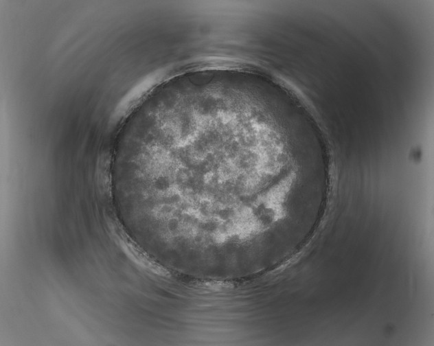 X0000115551403200911271423