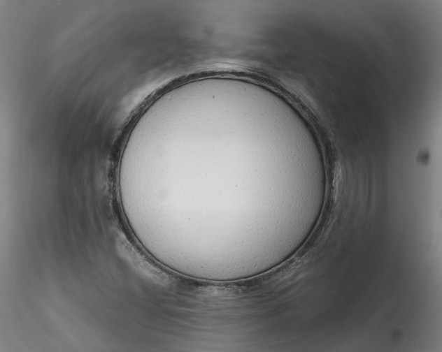 X0000115551404200911271423