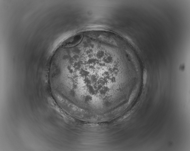 X0000115551405200911271423