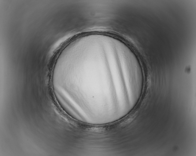 X0000115551406200911271423