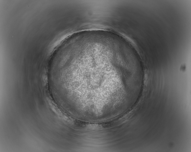 X0000115551407200911271423