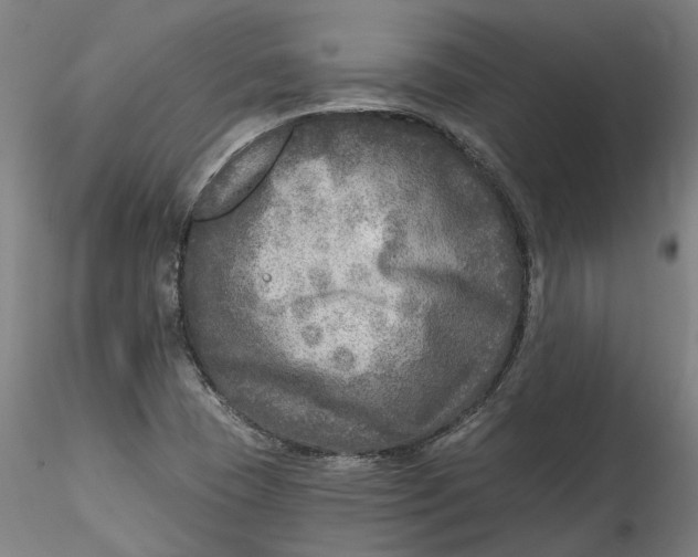 X0000115551409200911271423