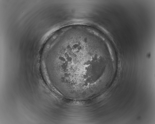 X0000115551411200911271423