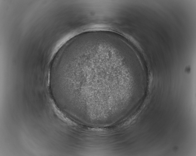 X0000115551413200911271423